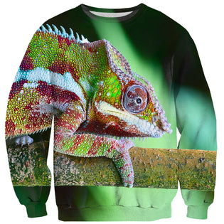 Chameleon Sweater by Shelfies