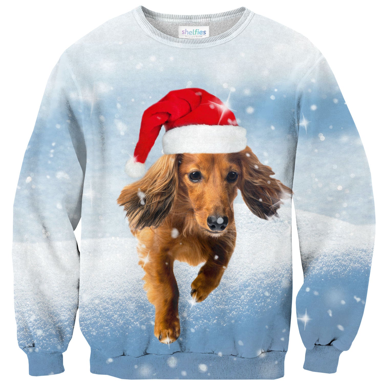 Dachshund Through The Snow Sweater Shelfies